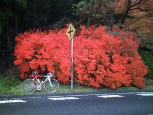 ture-nigu 003